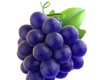 Fruits