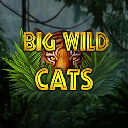 Big Wild Cats casino game by Leap Slot