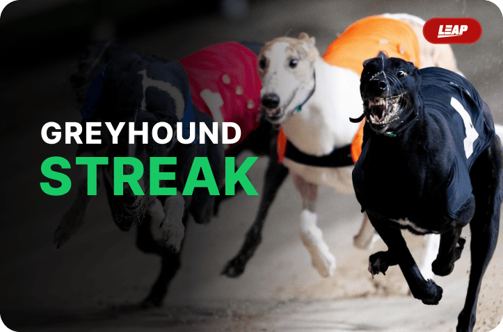 Greyhounds Streak