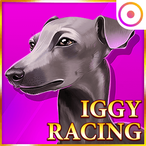 Iggy Racing casino game by Onlyplay