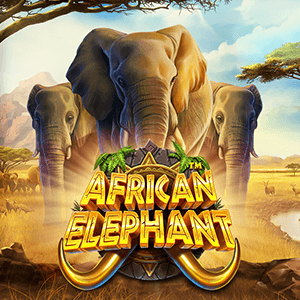 African Elephant™ casino game by Pragmatic Play