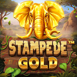 STAMPEDE GOLD casino game by Betsoft