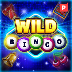 Wild Bingo casino game by Platipus